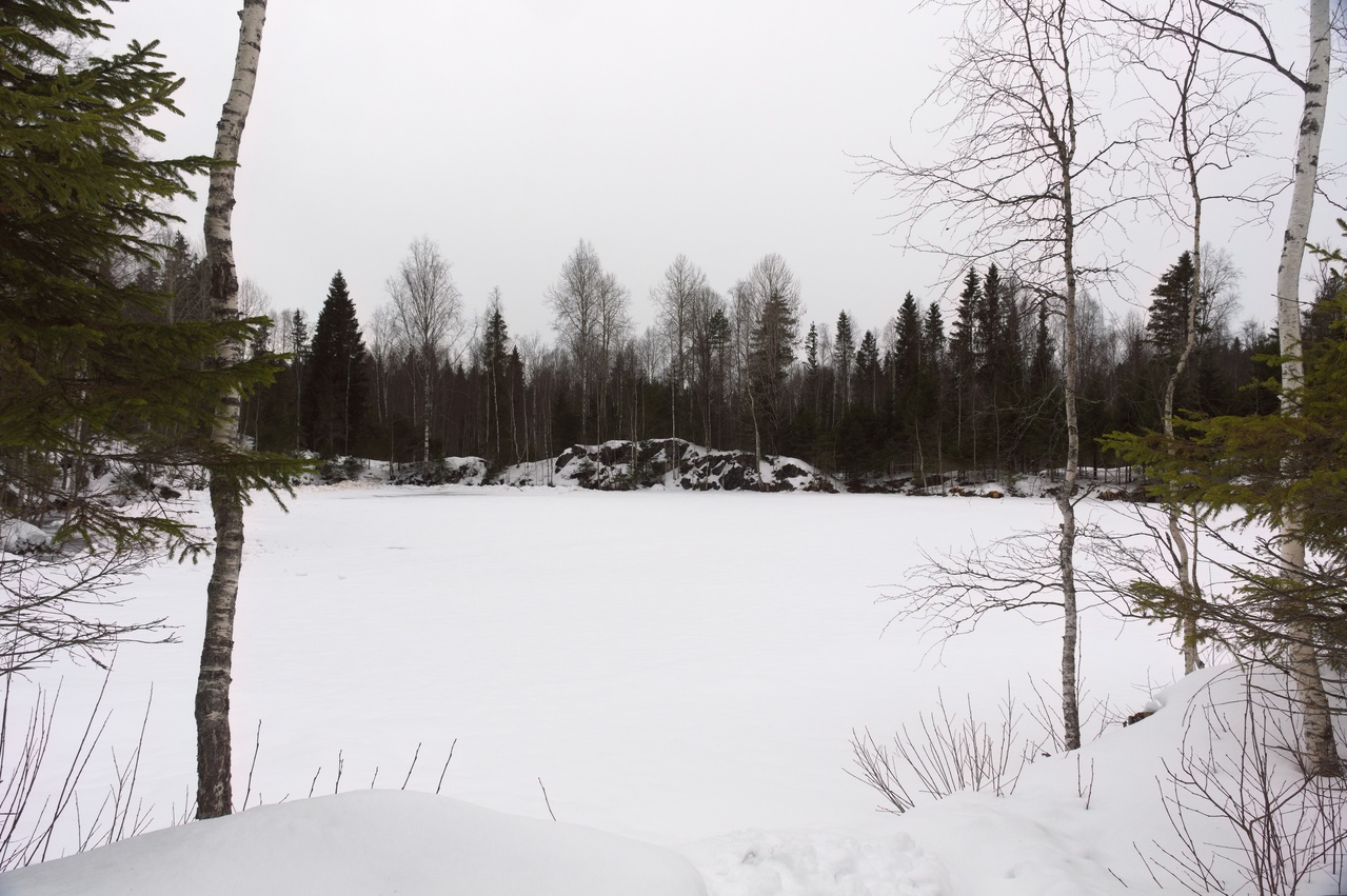 A small pond covered with snow