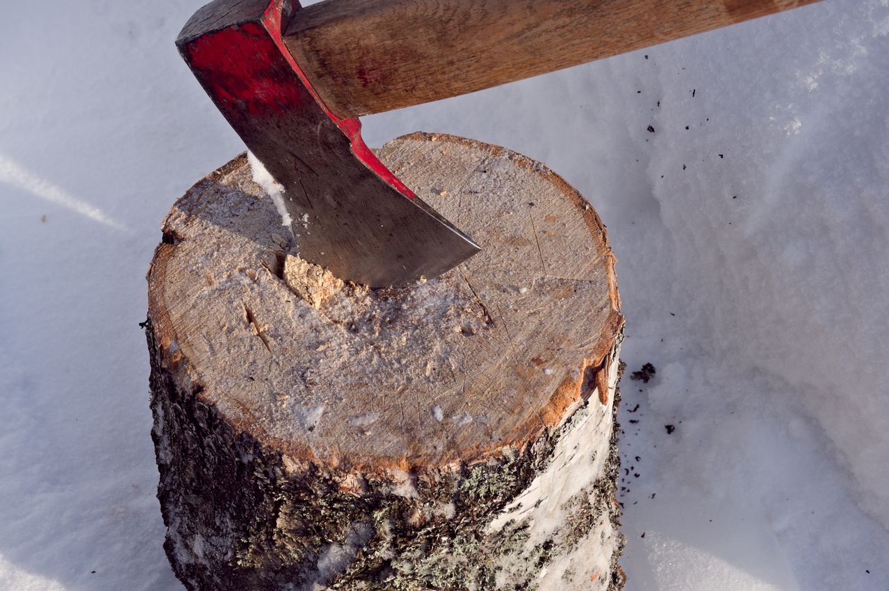 Axe stuck into a birch log