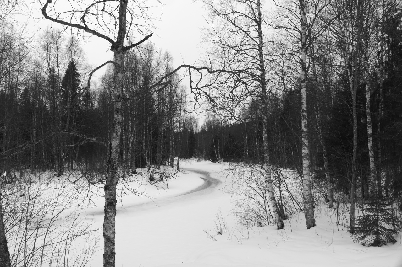 Bend in an ice-covered river