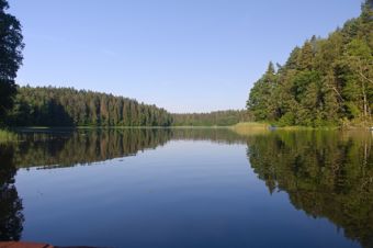 Blue sky and water of the forest lake