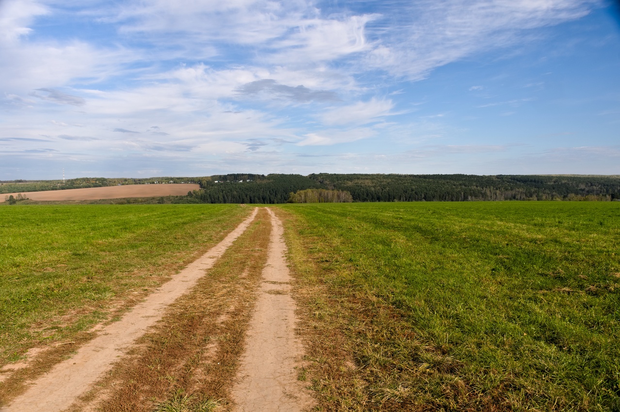 Dirt road through a green field