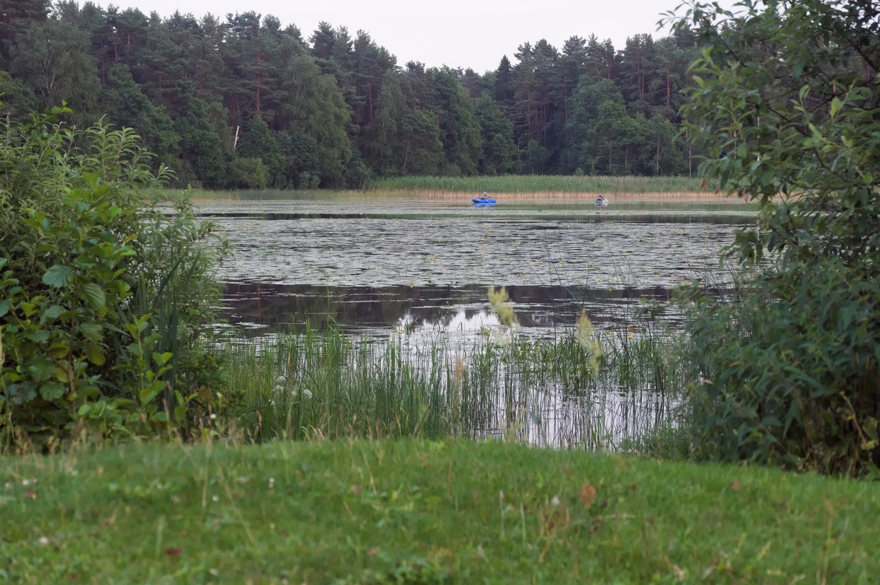 Fishing boats on the lake with water lilies