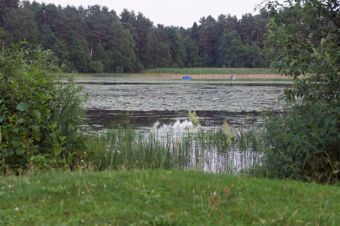 Fishing boats on the lake with water lilies