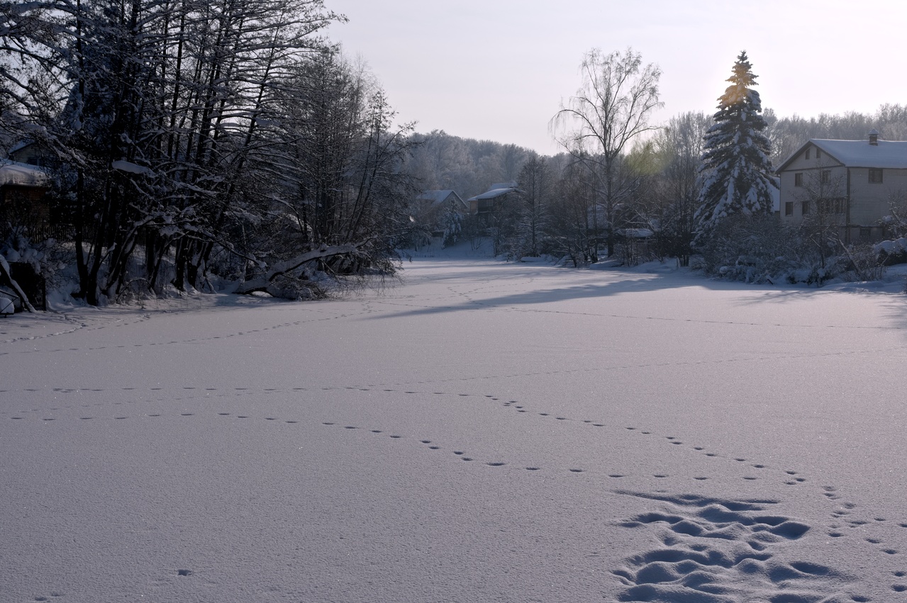 Footprints in the snow