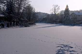 Footprints in the snow