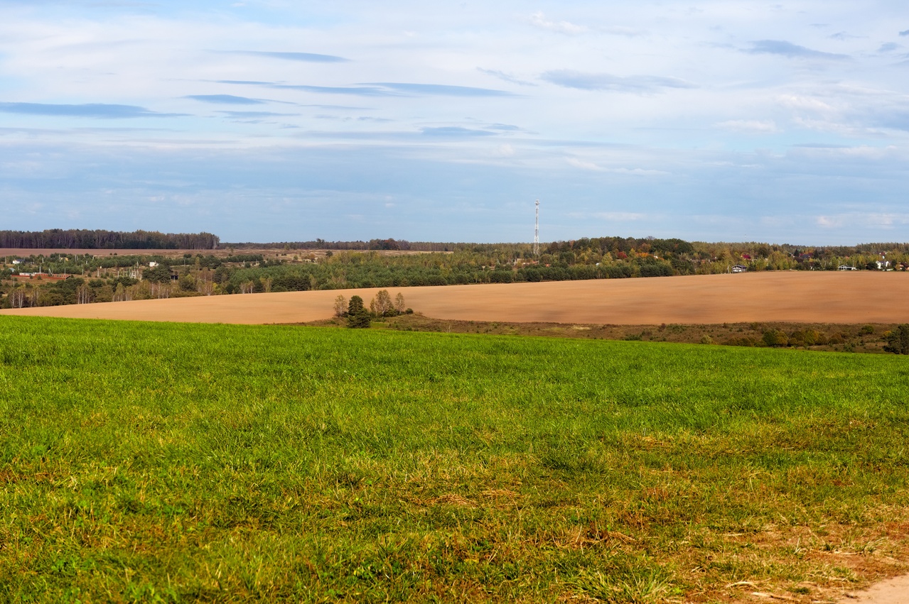 Green and brown agricultural fields