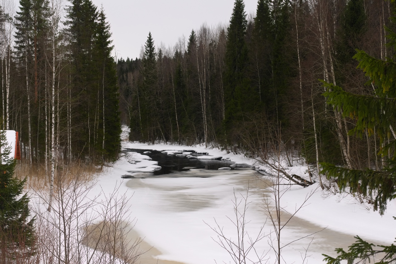 River with black water