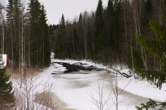 River with black water