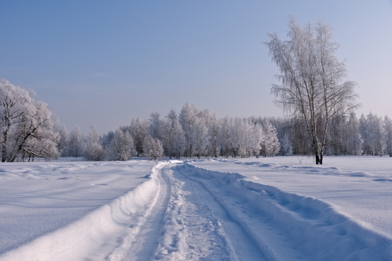 Winter road to the forest