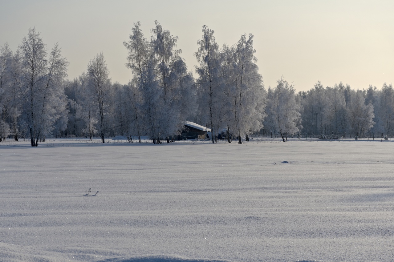 Winter rural landscape