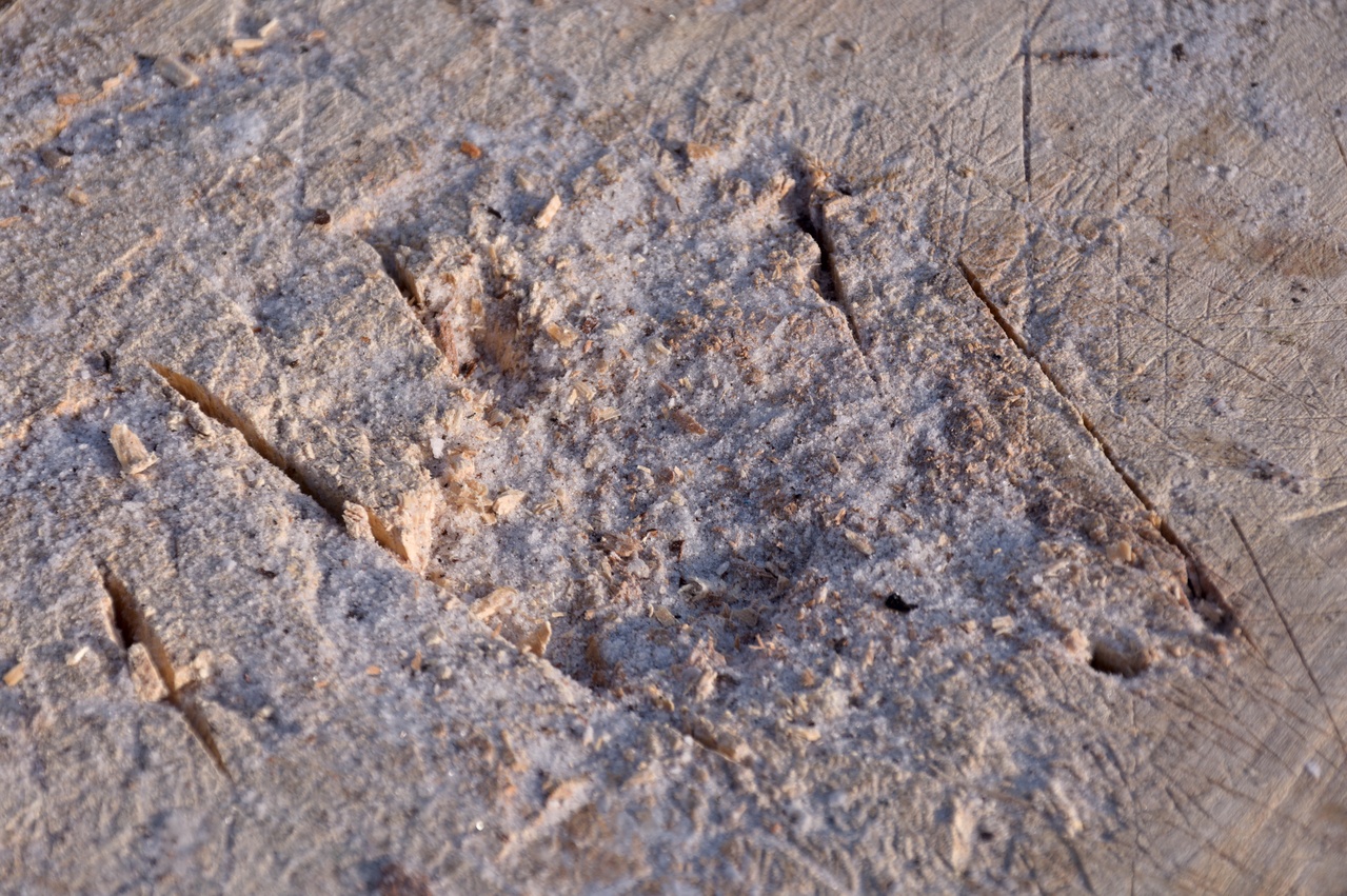 Working surface of the chopping block